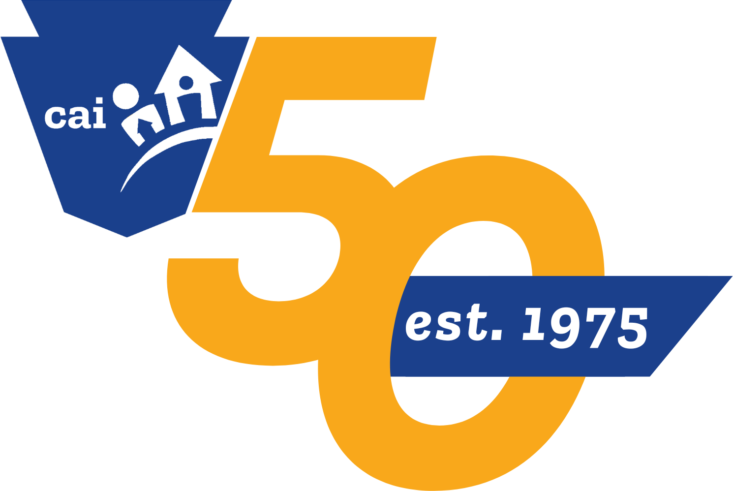 CAI 50 emblem CAI 50 emblem